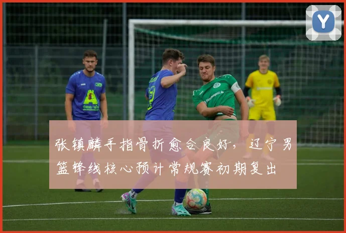 张镇麟手指骨折愈合良好,辽宁男篮锋线核心预计常规赛初期复出